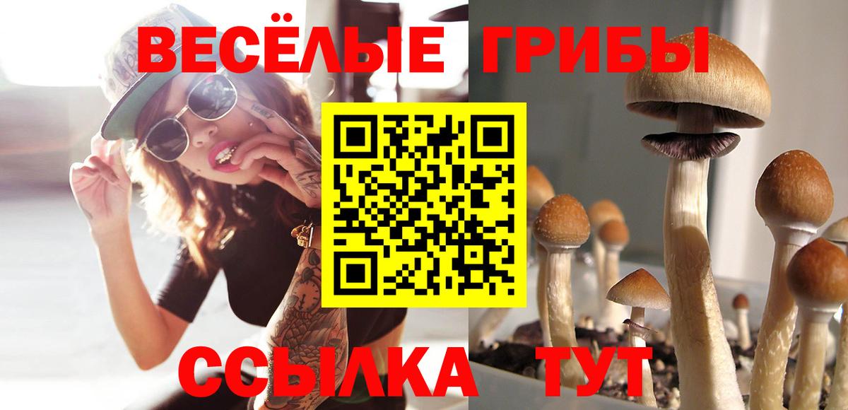 Галлюциногенные грибы Magic Shrooms  Вход с VPN  Азнакаево 